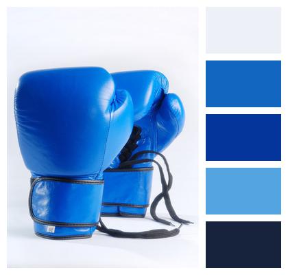 Isolated On White Background Blue Boxing Gloves Fight Image